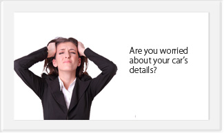 Are you worried about your car's details?