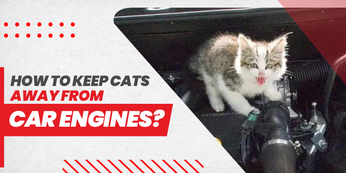 How to Hide a GPS Tracker on a Car?
