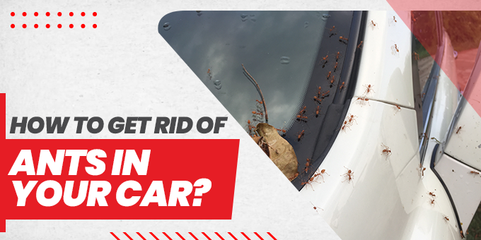 Reasons that Make New Tires Leak Air